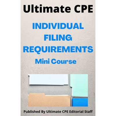 Individual Filing Requirements 2024 Mini Course